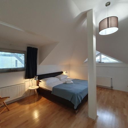 Charming Apartment Mila In Privat House With Free Parking Ljubljana Luaran gambar