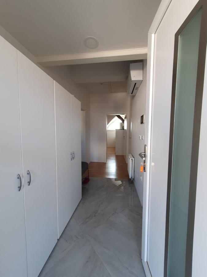 Charming Apartment Mila In Privat House With Free Parking Ljubljana Luaran gambar