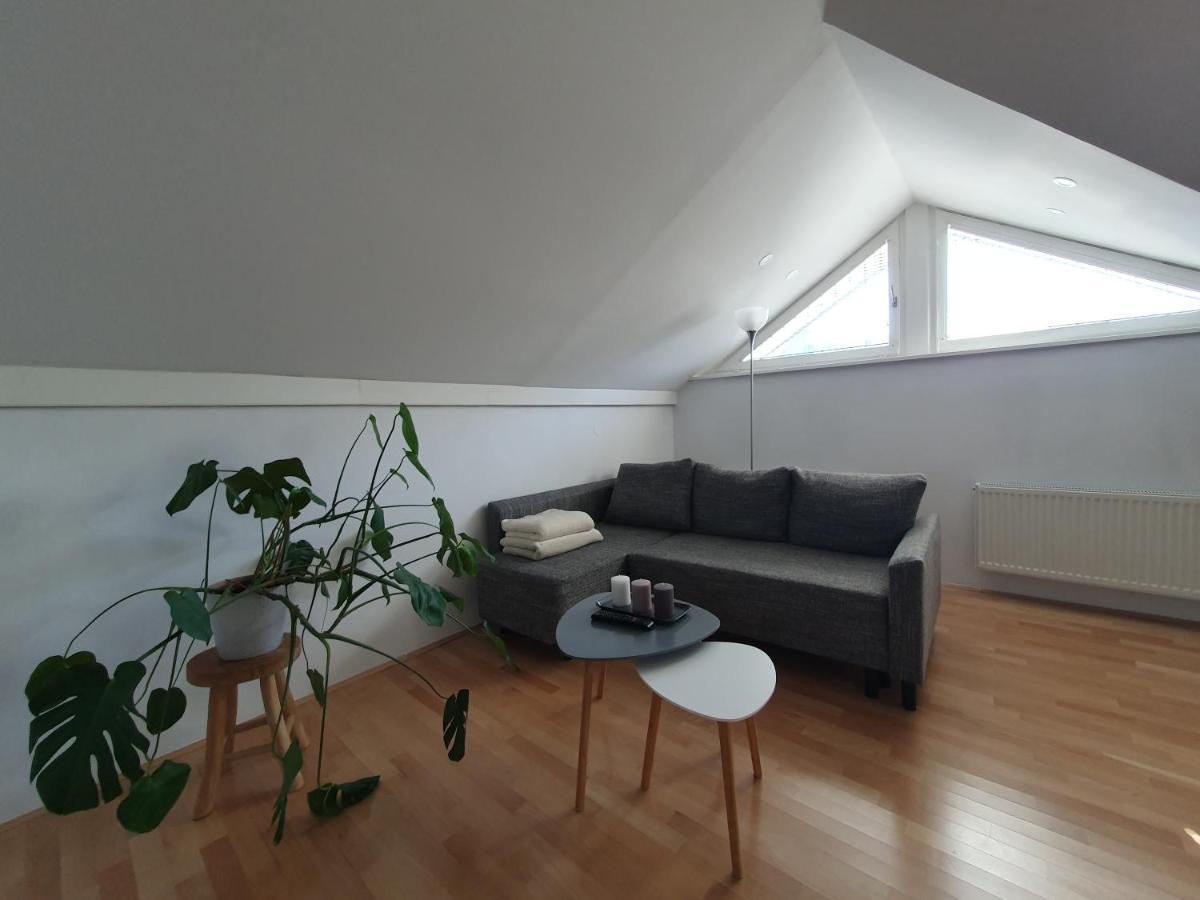 Charming Apartment Mila In Privat House With Free Parking Ljubljana Luaran gambar