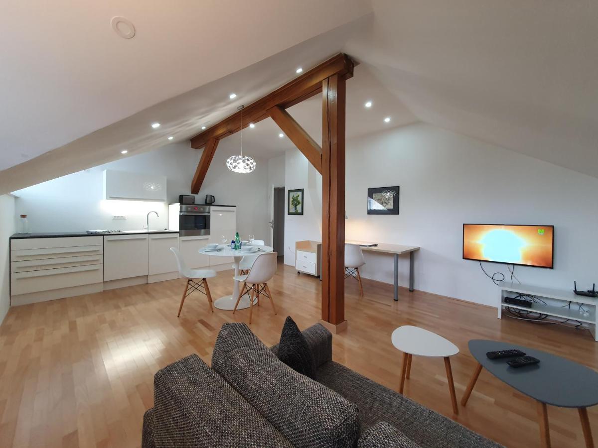 Charming Apartment Mila In Privat House With Free Parking Ljubljana Luaran gambar