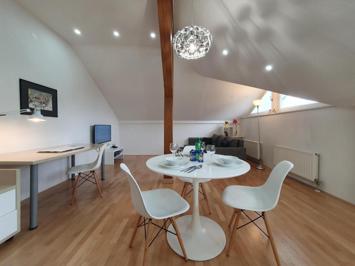 Charming Apartment Mila In Privat House With Free Parking Ljubljana Luaran gambar