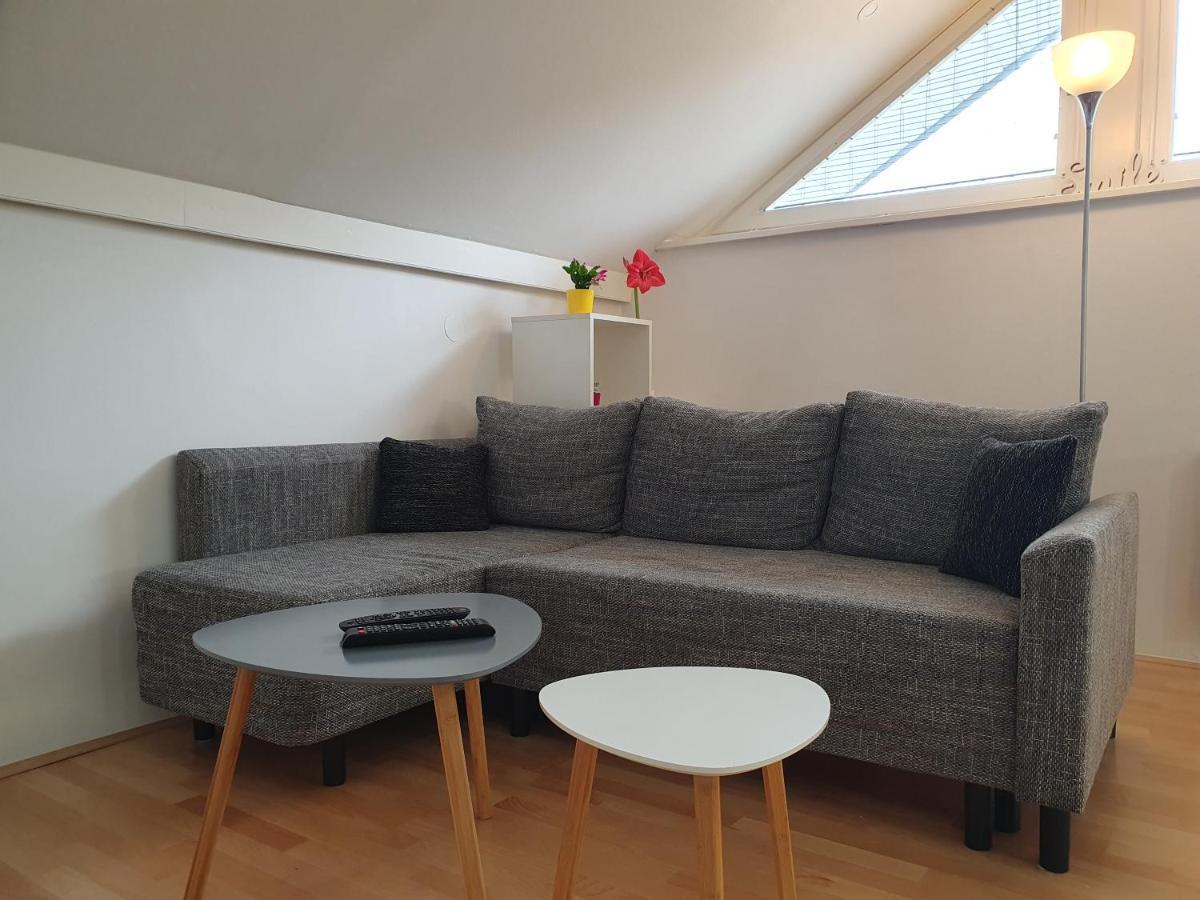 Charming Apartment Mila In Privat House With Free Parking Ljubljana Luaran gambar